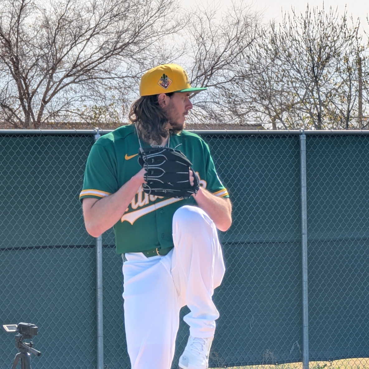 MLB Teams List Alphabetical by City or State and Team Name